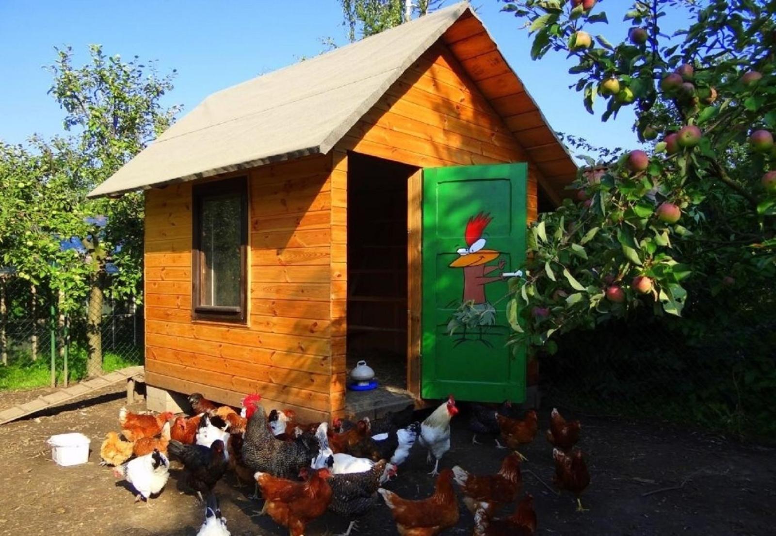 Apartamenty I Pokoje Aneta เปียโควิเซ ภายนอก รูปภาพ